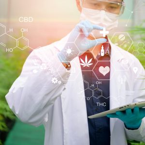 Asesoramiento Empresarial en la Industria del Cannabis