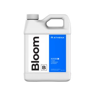 Bloom B 0.94 Lt