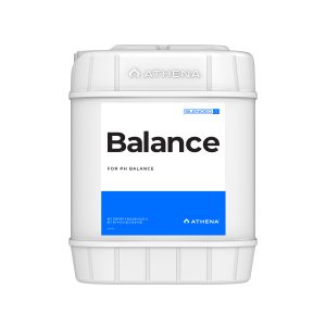 Balance 18.93 Lt
